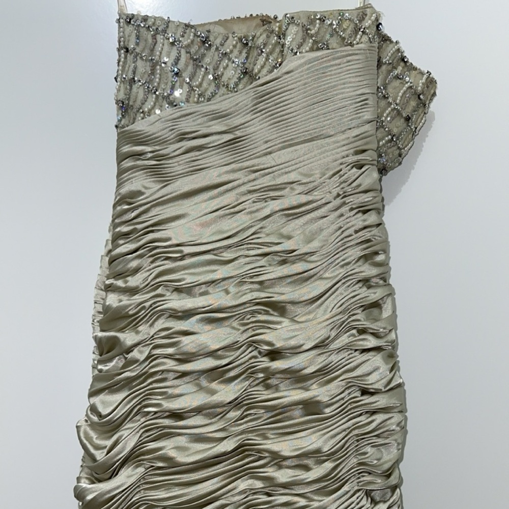 Terani Couture dress